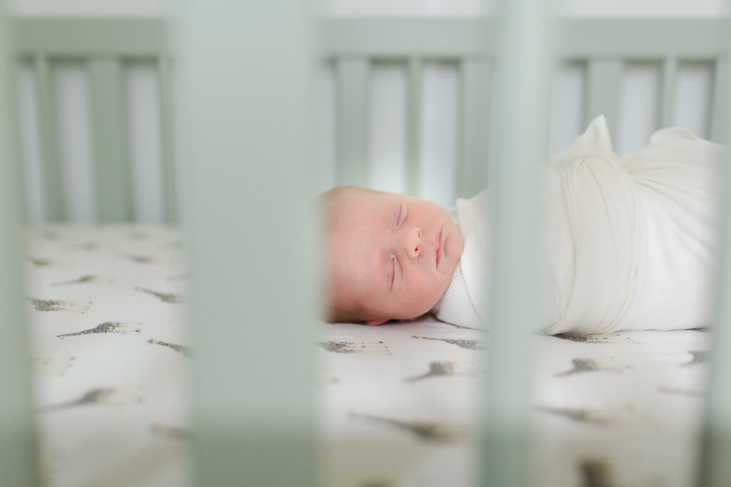 Birmingham, Hoover, Alabaster, Helena, Pelham, Chelsea, Oak Mountain, Homewood, Vestavia, Mountain Brook, Alabama Newborn Photographer.
